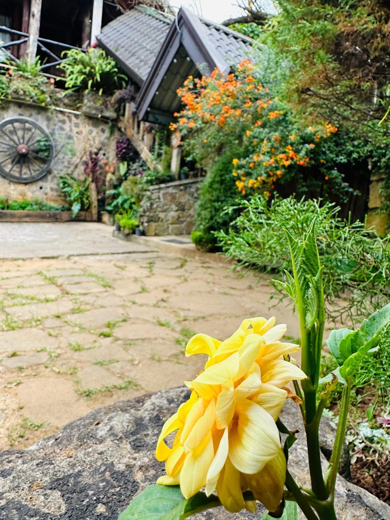 Villa 47 Nuwaraeliya Nuwara Eliya Exterior foto